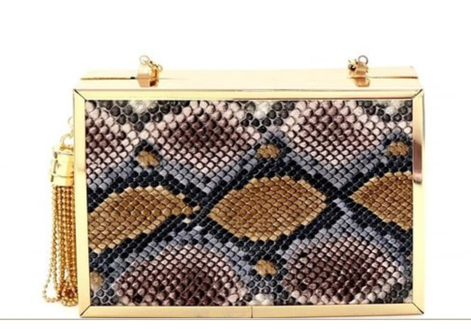 METAL TASSEL ACCENT SNAKE PRINT CLUTCH
