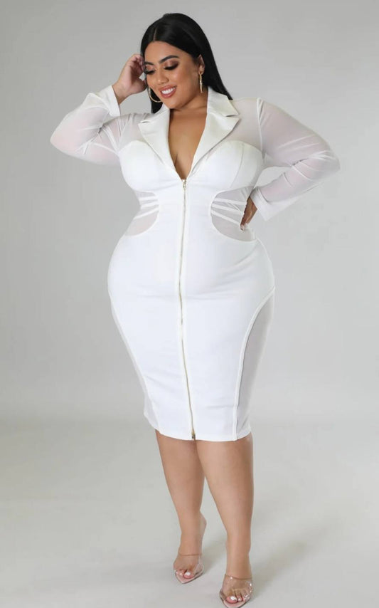 SHEER BABE BODYCON DRESS
