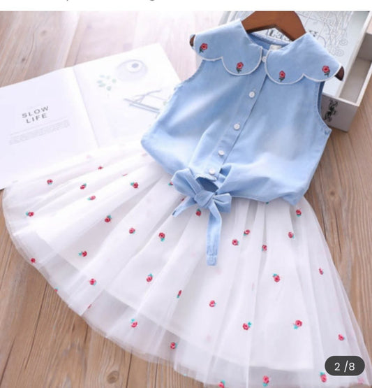 2-PIECE EMBROIDERED MESH SKIRT SET